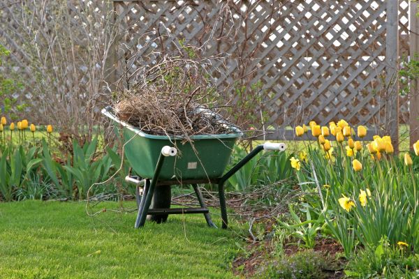 Flower Bed Cleanup Service in Punta Gorda