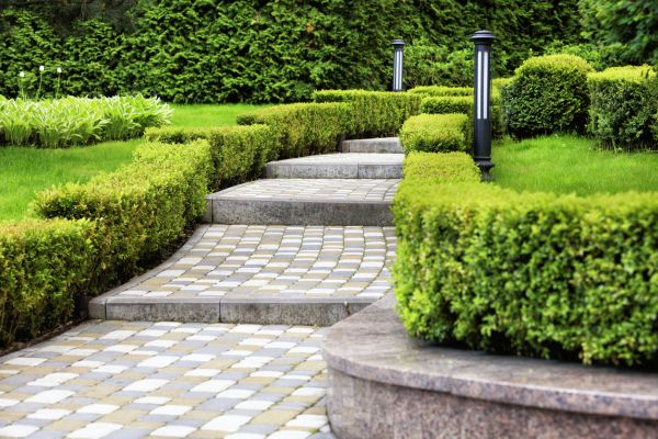 Backyard Remodeling in Punta Gorda