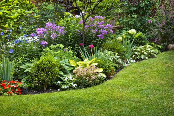 Flower Bed Service in Punta Gorda