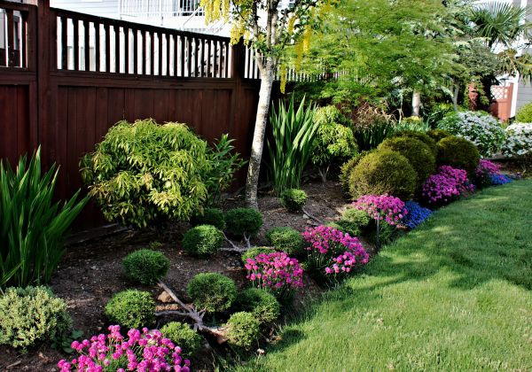 Garden Care Service in Punta Gorda