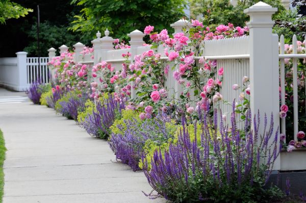 Garden Handyman Service in Punta Gorda
