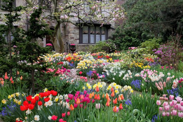 Garden Maintenance Service in Punta Gorda