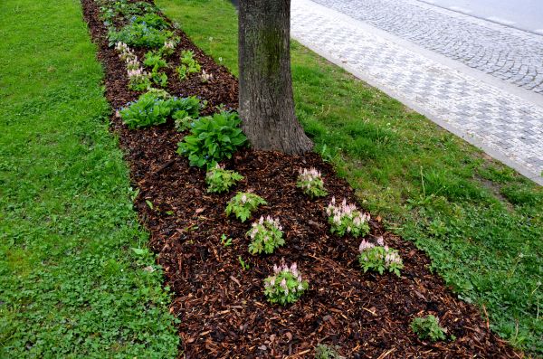 Mulch Replacement Service in Punta Gorda