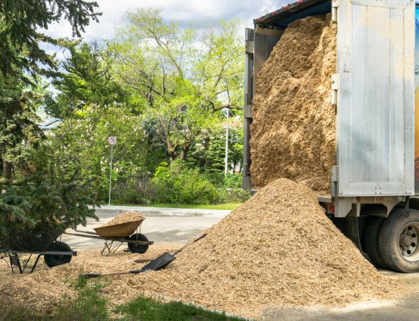 Wood Chips Delivery in Punta Gorda