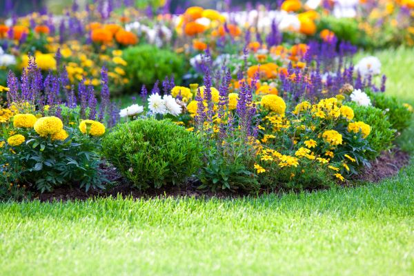 Garden Installation in Punta Gorda