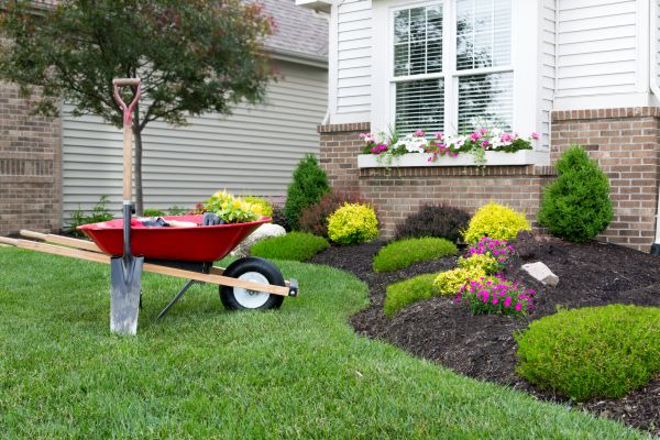 Landscape Maintenance Service in Punta Gorda