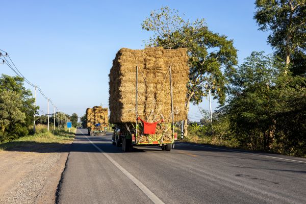 Pine Straw Delivery in Punta Gorda