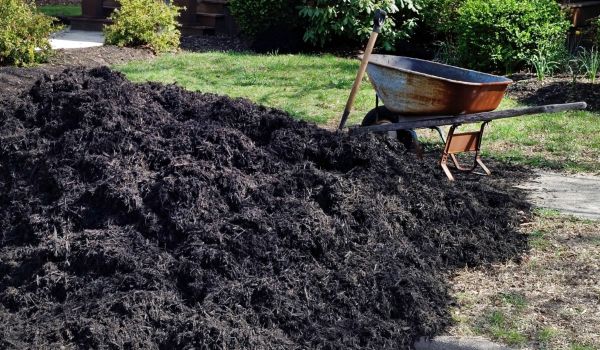 Black Mulch Delivery in Punta Gorda