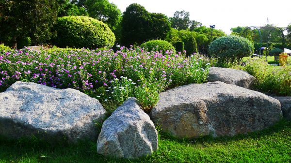 Boulder Landscaping in Punta Gorda