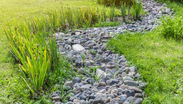 River Rock Garden Installation in Punta Gorda