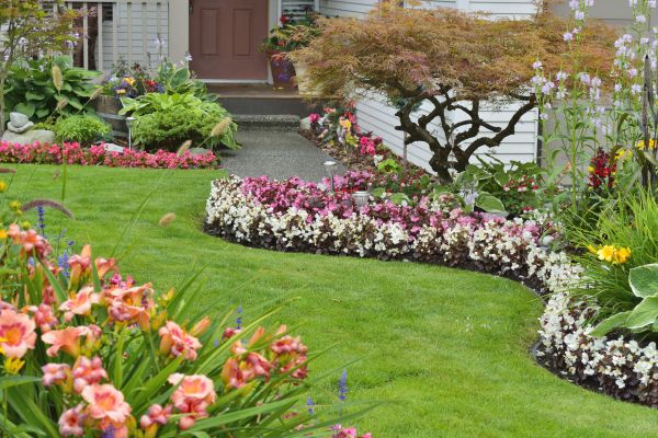 Perennial Landscaping in Punta Gorda