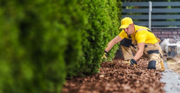 Cypress Mulch Installation in Punta Gorda