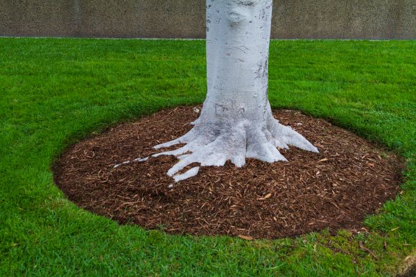 Brown Mulch Installation in Punta Gorda