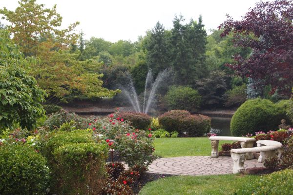 Courtyard Design Service in Punta Gorda