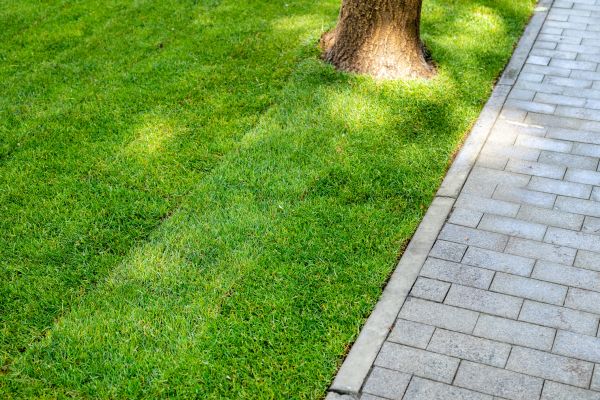Border Stone Installation in Punta Gorda