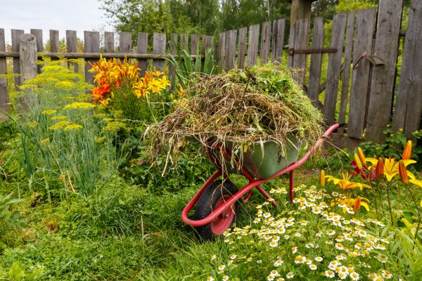 Garden Cleanup Service in Punta Gorda