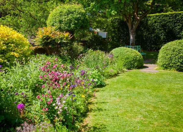 Yard Landscaping Service in Punta Gorda