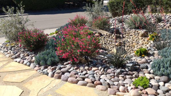Xeriscape Landscaping in Punta Gorda