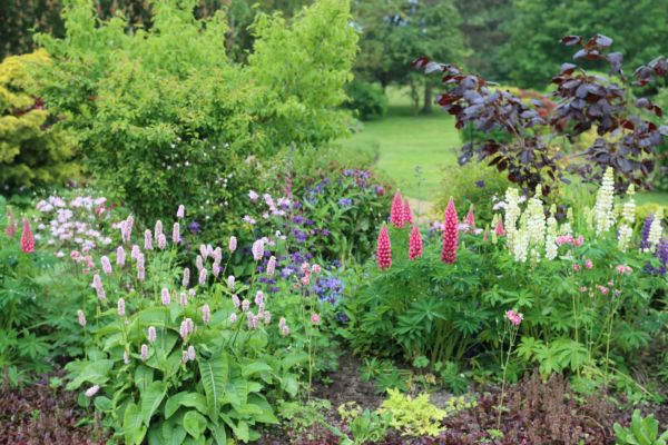 Flower Bed Planting in Punta Gorda