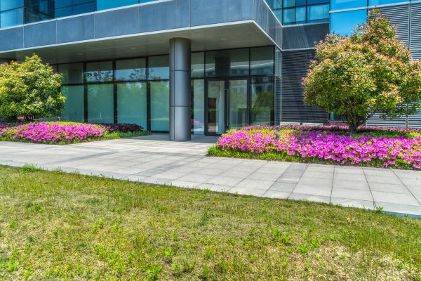 Commercial Gardening in Punta Gorda