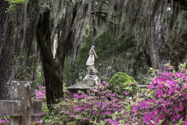 Cemetery Landscaping in Punta Gorda