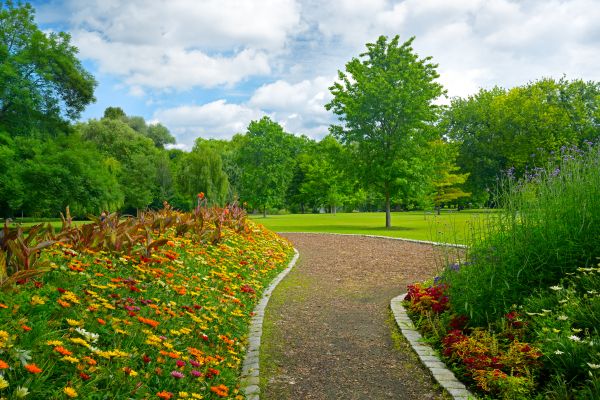 Park Landscaping in Punta Gorda