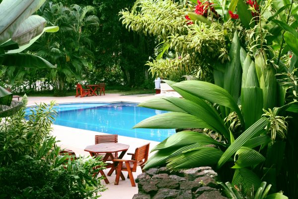 Tropical Garden Landscaping in Punta Gorda