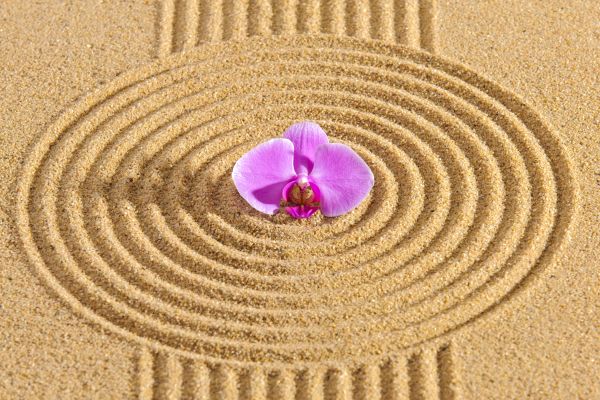 Sand Garden Landscaping in Punta Gorda