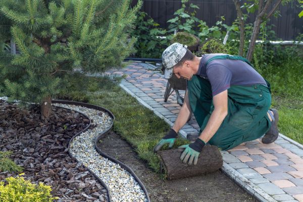 Landscaping Modification in Punta Gorda