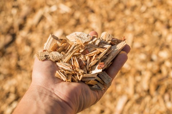 Wood Chips Spreading in Punta Gorda