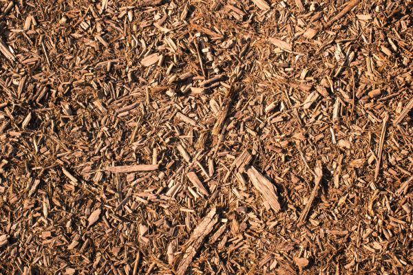 Wood Chips Removal in Punta Gorda