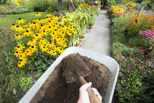 Topsoil Replacement in Punta Gorda
