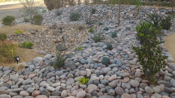 Yard Xeriscaping in Punta Gorda