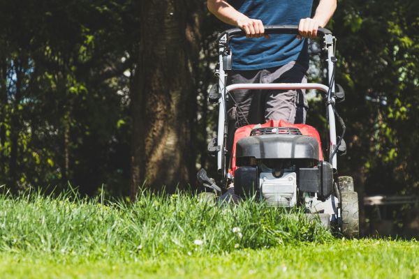 Garden Trimming Service in Punta Gorda