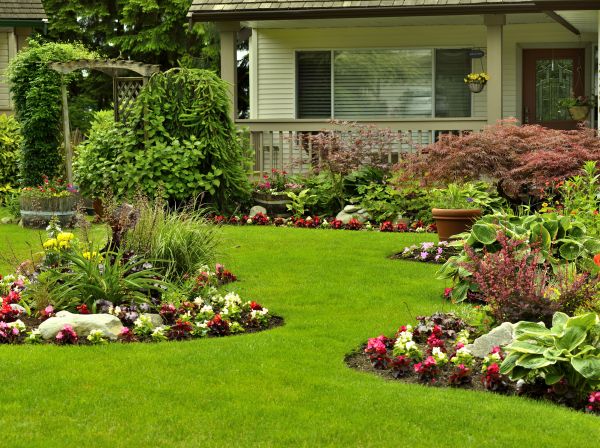 Flower Garden Planting in Punta Gorda