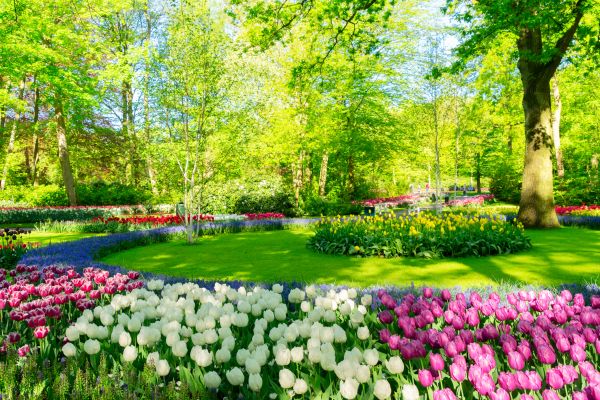 Flower Landscaping in Punta Gorda