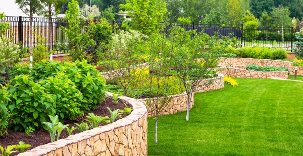 Yard Makeover Service in Punta Gorda