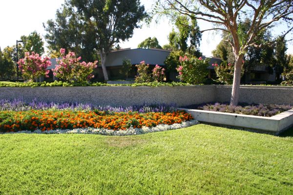Commercial Landscape Service in Punta Gorda