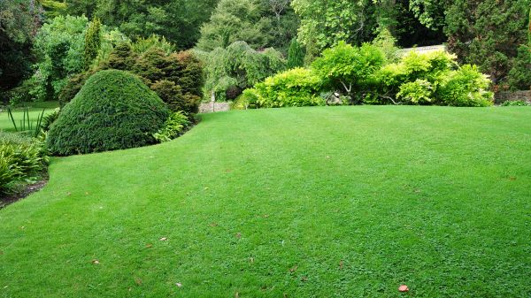 Commercial Landscape Design in Punta Gorda