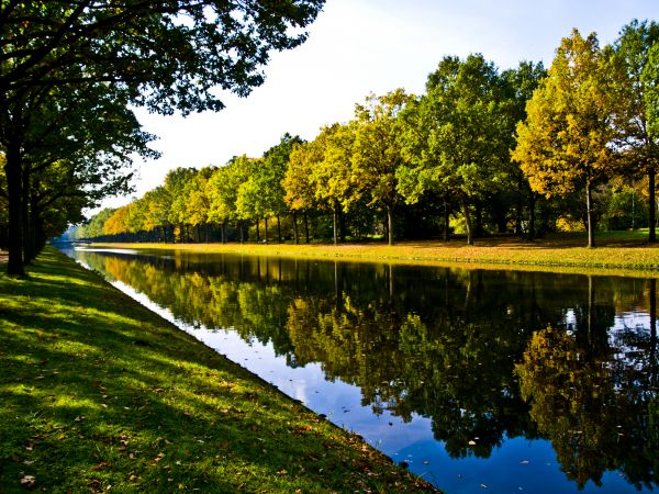 Bank Landscaping in Punta Gorda