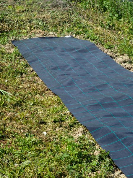 Weed Suppressant Installation in Punta Gorda