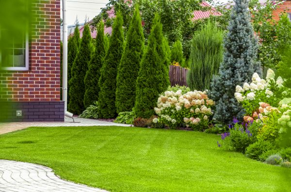 Spring Landscaping in Punta Gorda
