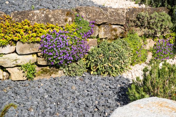 Landscaping Rocks Installation in Punta Gorda