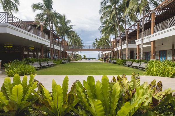 Commercial Lawn Renovation in Punta Gorda