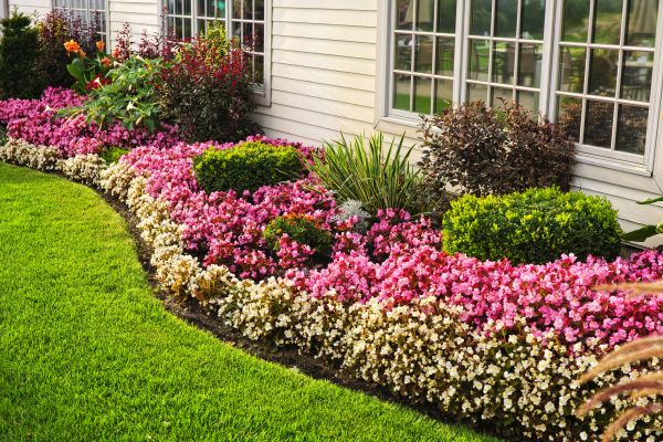 Garden Landscape Design in Punta Gorda