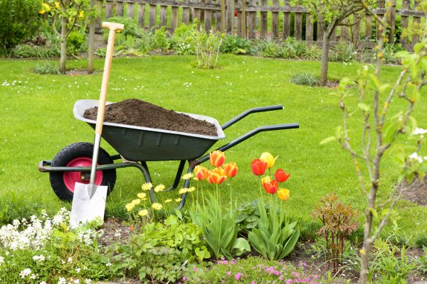 Spring Yard Renovation in Punta Gorda