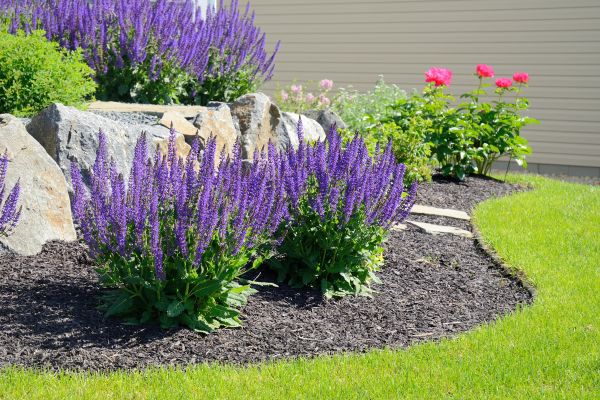 Landscape Planting Service in Punta Gorda