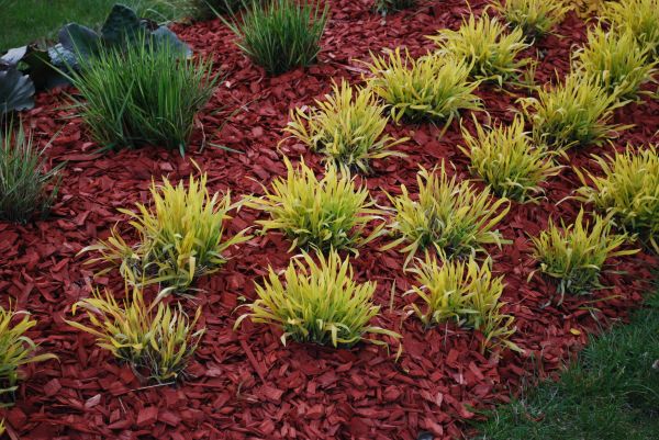 Red Mulch Installation in Punta Gorda
