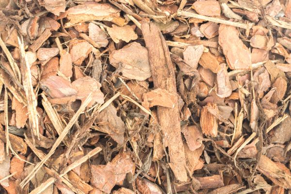 Bark Mulch Installation in Punta Gorda