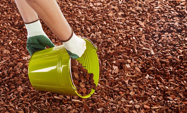 Wood Chip Landscaping in Punta Gorda